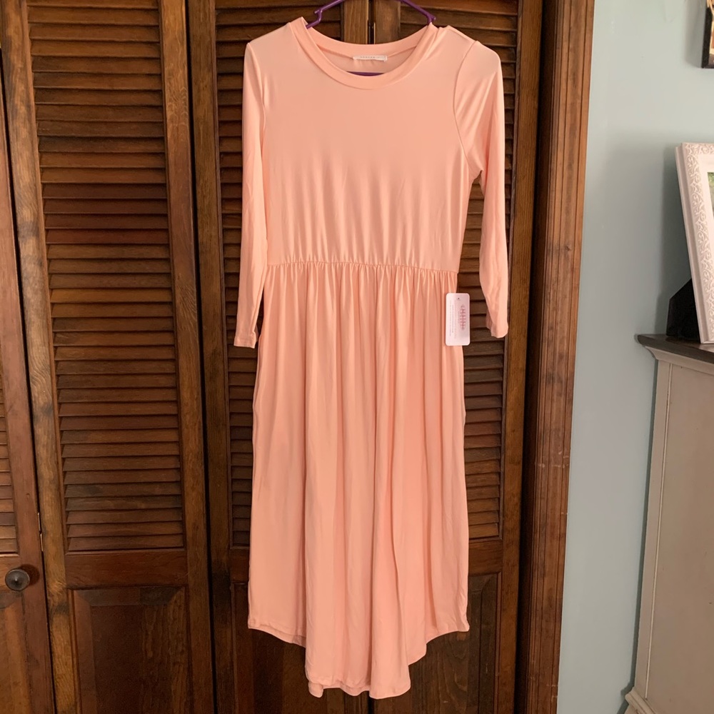 Boutique Swing Dress